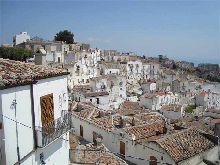 Immagine dell'articolo